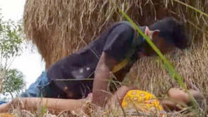 Watch a hot desi couple getting frisky in the fields in this high-quality video