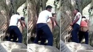 Desi girl and boyfriend have sex in public and get caught on camera