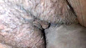 Bhabhi's close-up pussy gets fucked and cum drips down